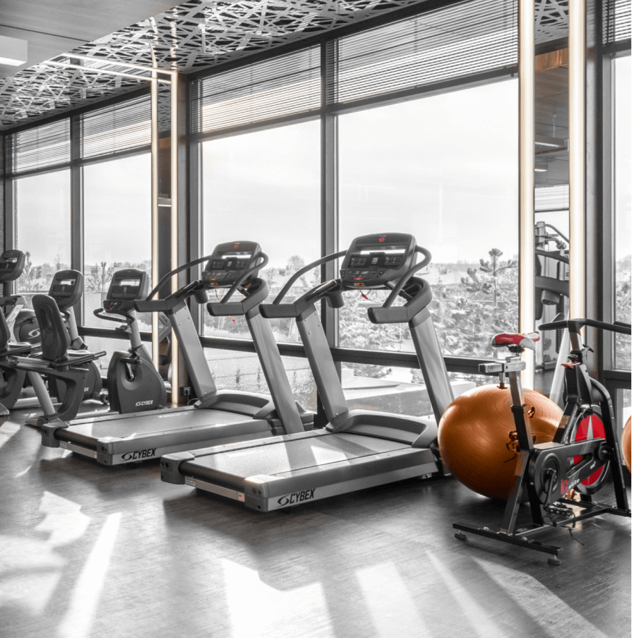 Gym Equipment - Fitnestic X Webflow Template